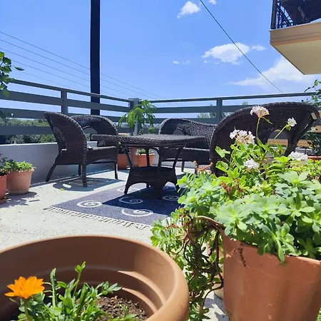 Apartment Orion